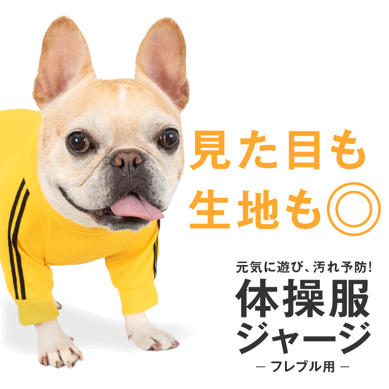 ドッグプレイ(R)体操服ジャージつなぎ(フレブル用)