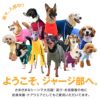 ドッグプレイ(R)体操服ジャージつなぎ(フレブル用)