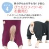 ドッグプレイ(R)体操服ジャージつなぎ(フレブル用)