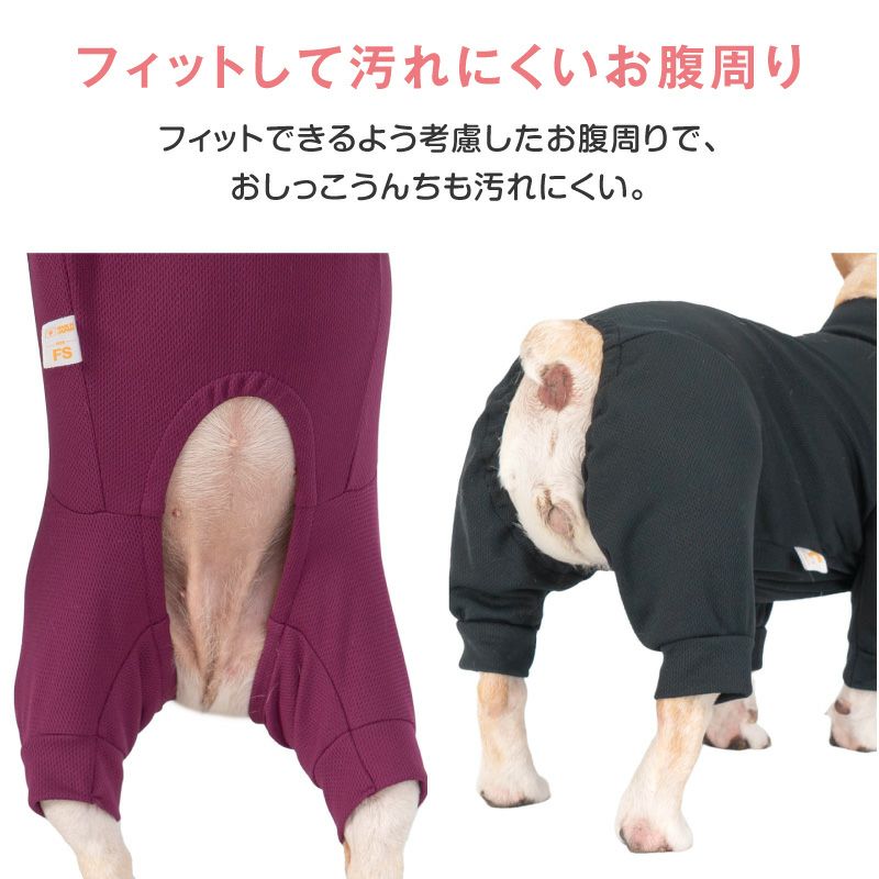 ドッグプレイ(R)体操服ジャージつなぎ(フレブル用)