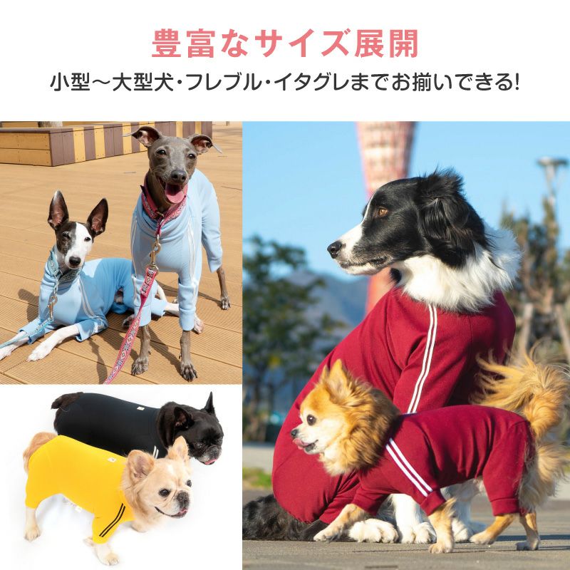 ドッグプレイ(R)体操服ジャージつなぎ(フレブル用)