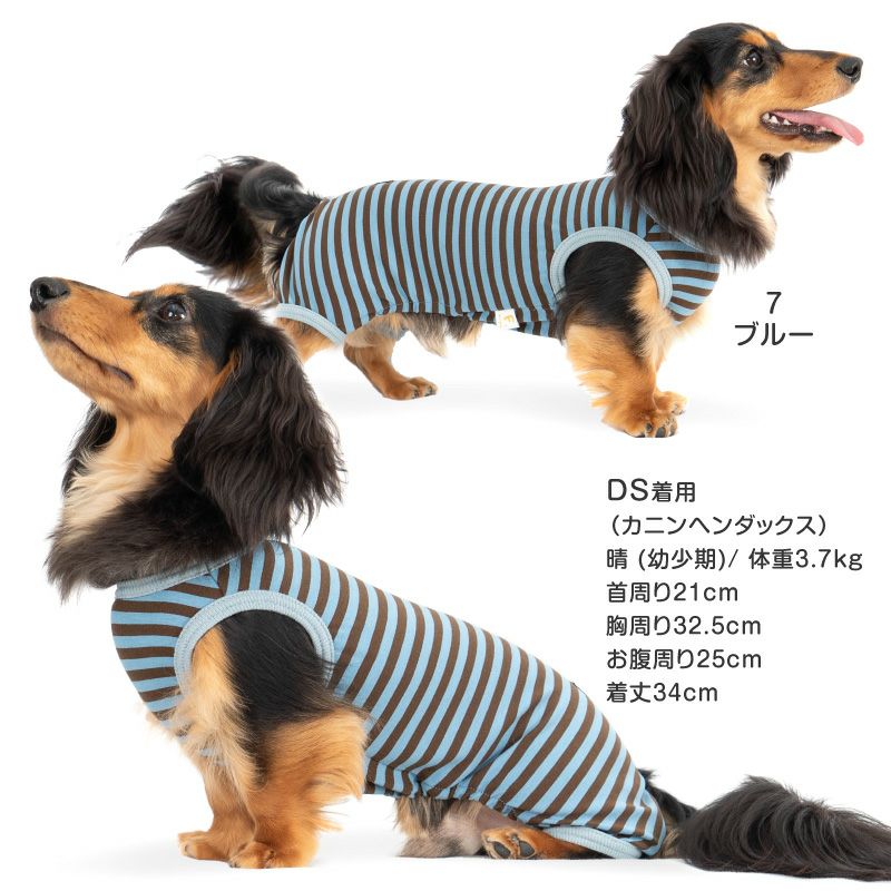 ウォームボーダー袖なしつなぎ(ダックス・小型犬用)