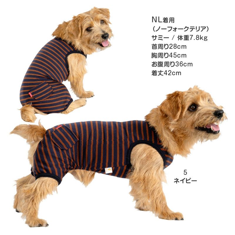 おしりポケットボーダー天竺つなぎ(ダックス・小型犬用)