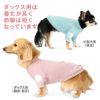 プレミアウォーム袖ハートトレーナー(ダックス・小型犬用)