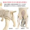 フルオープン胃ろうチューブ対応術後服エリザベスウエア(R)(男女兼用/ダックス・小型犬用/抗菌・消臭素材)