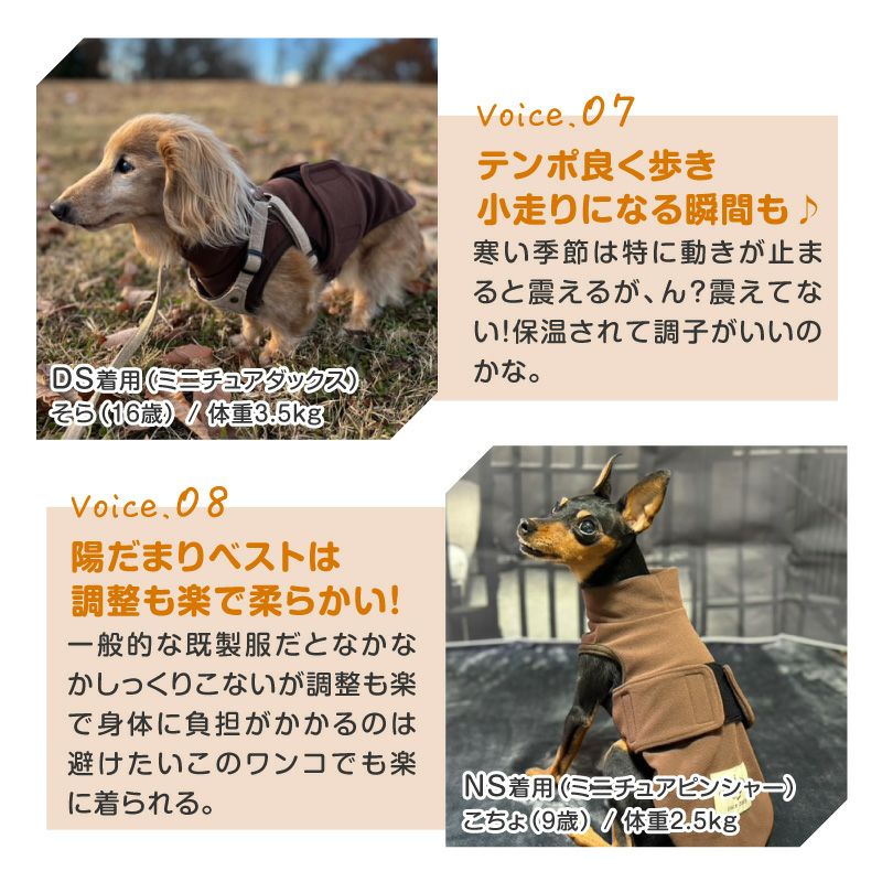 吸光熱遠赤外線保温・陽だまりベスト(ダックス・小型犬用)
