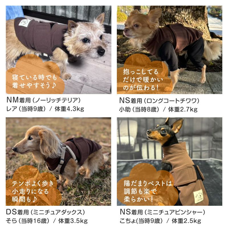 吸光熱遠赤外線保温・陽だまりベスト(ダックス・小型犬用)