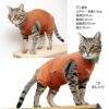 猫用首ポイントポリエステルベア天袖なしつなぎ