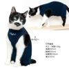 猫用首ポイントポリエステルベア天袖なしつなぎ