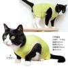 猫用首ポイントポリエステルベア天袖なしつなぎ