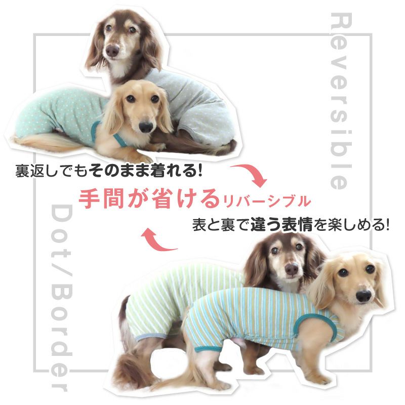 リバーシブルドットボーダー接結つなぎ(ダックス・小型犬用)