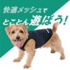 防蚊配色バインダータンク(ダックス・小型犬用)