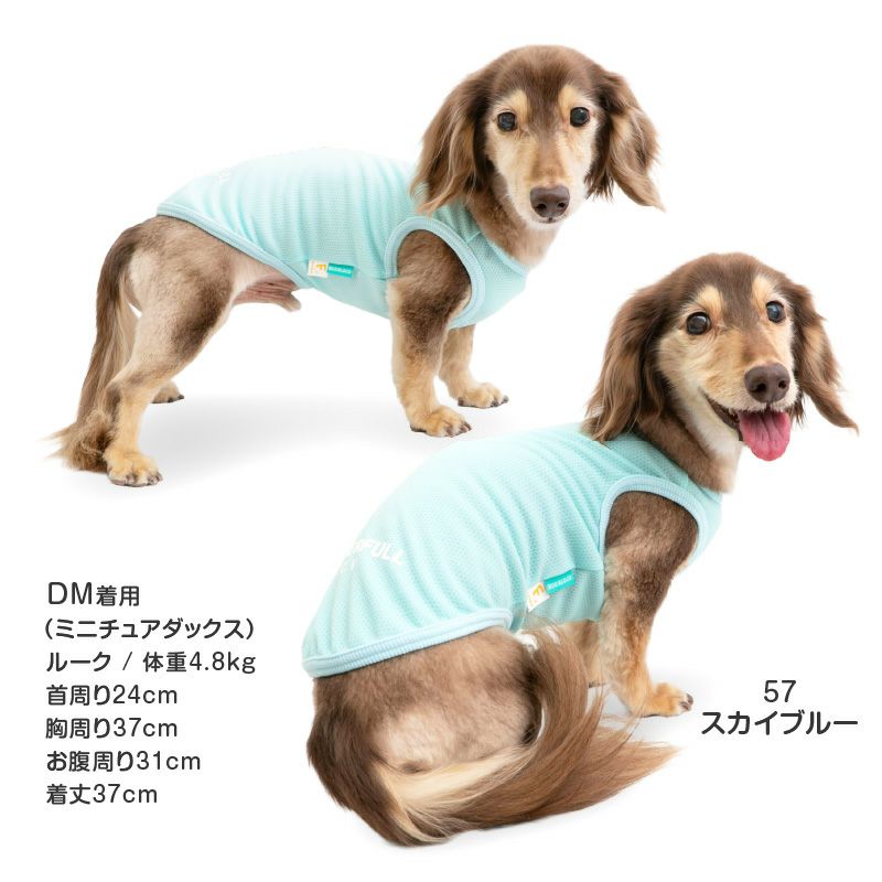 防蚊配色バインダータンク(ダックス・小型犬用)