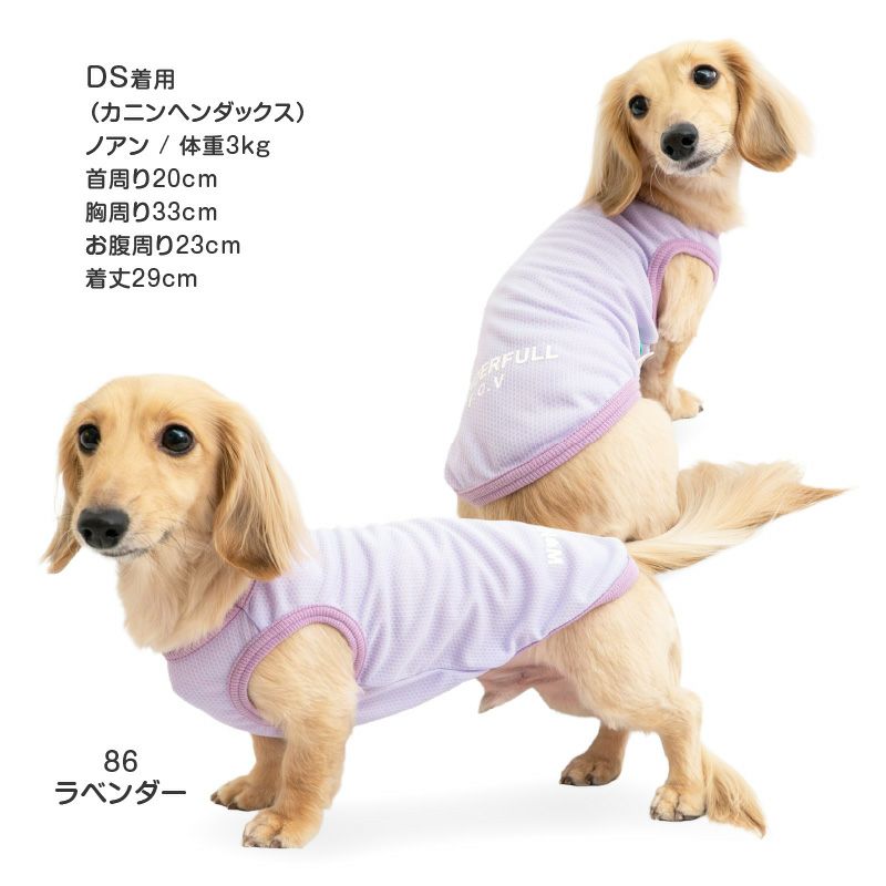 防蚊配色バインダータンク(ダックス・小型犬用)