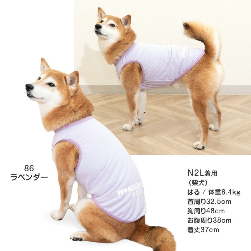 防蚊配色バインダータンク(中型犬用)