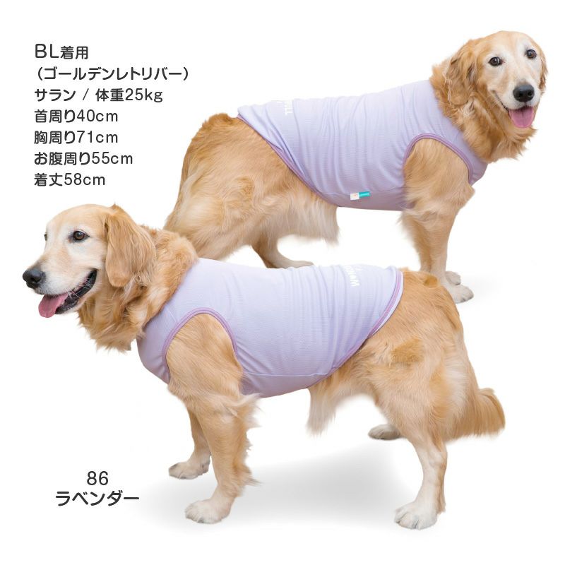 防蚊配色バインダータンク(大型犬用)