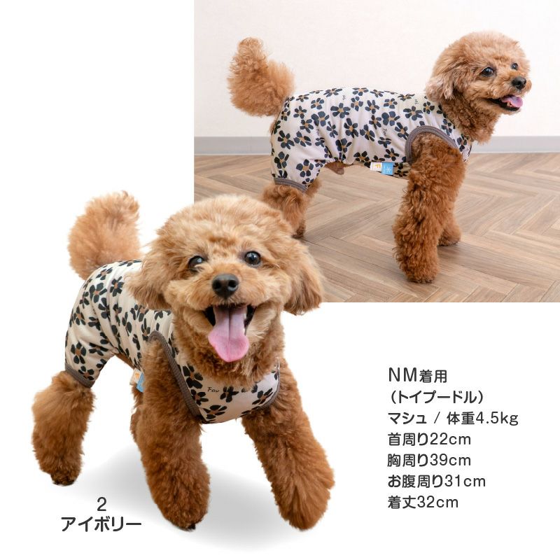 接触冷感バラエティ柄ツルツルつなぎ(ダックス・小型犬用)