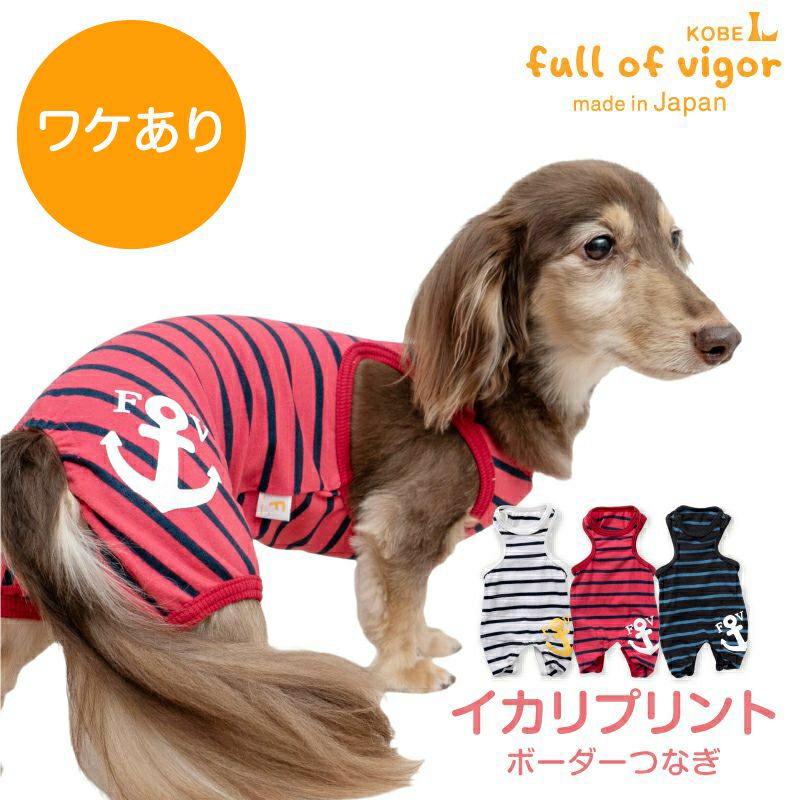 イカリプリントボーダーつなぎ(ダックス・小型犬用)