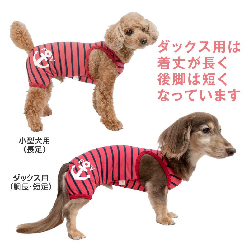 イカリプリントボーダーつなぎ(ダックス・小型犬用)