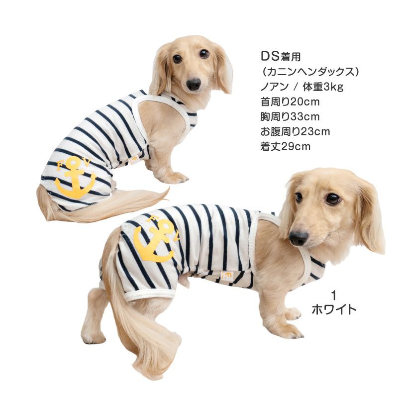 イカリプリントボーダーつなぎ(ダックス・小型犬用)