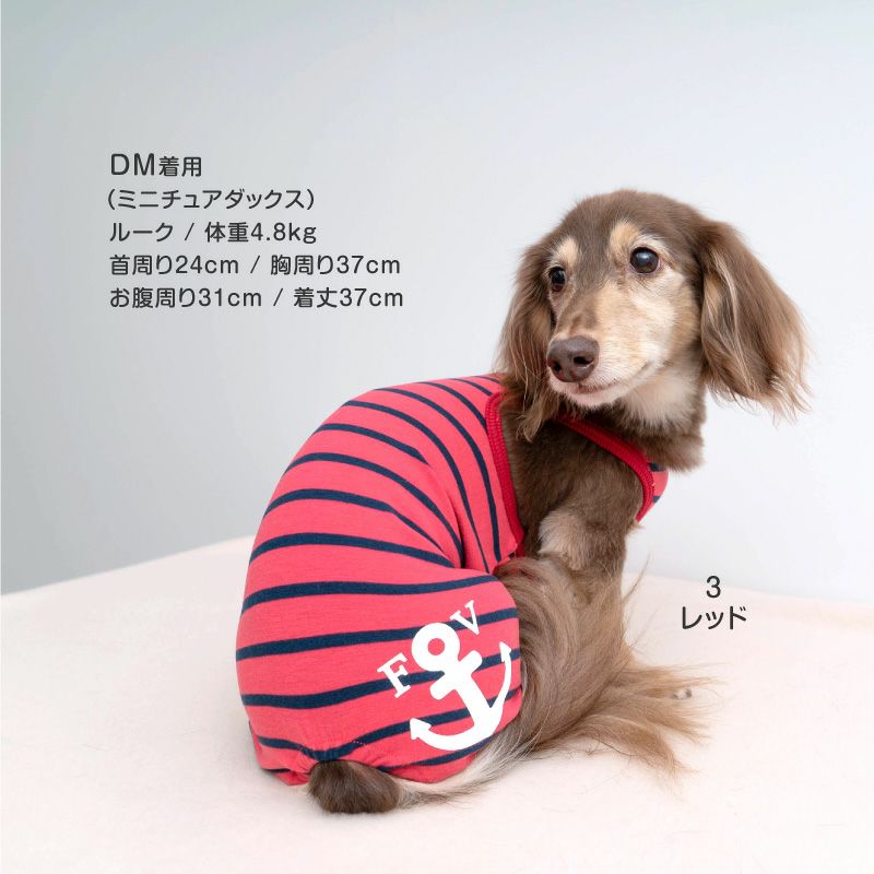イカリプリントボーダーつなぎ(ダックス・小型犬用)