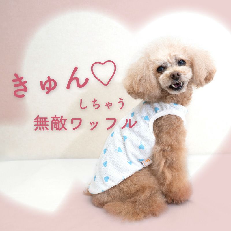 ワッフル柄タンク(ダックス・小型犬用)
