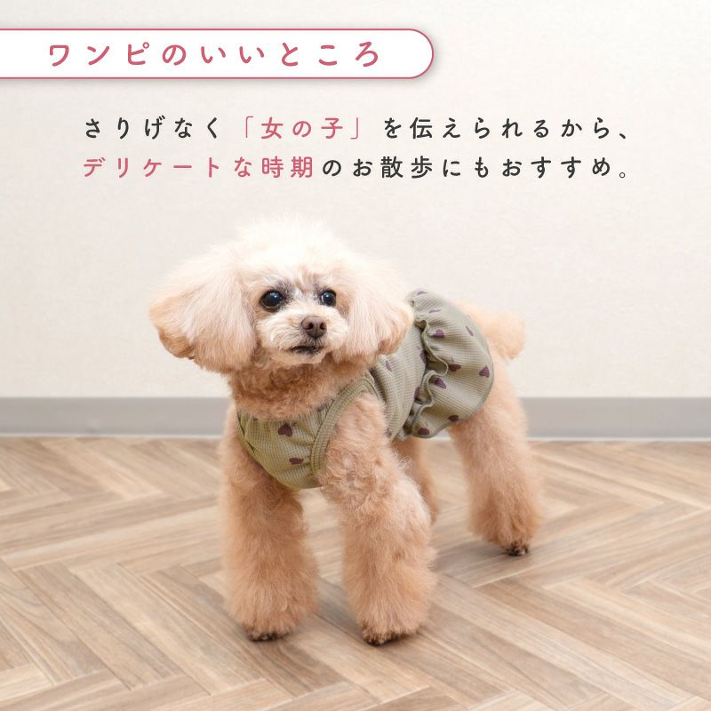 ワッフル柄ワンピース(ダックス・小型犬用)