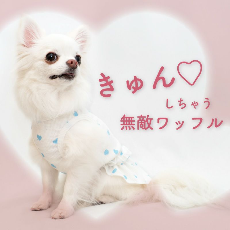 ワッフル柄ワンピース(ダックス・小型犬用)