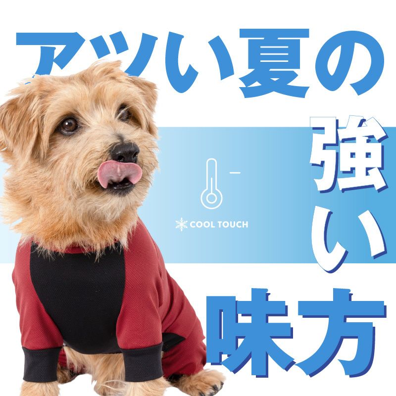 ドッグプレイ(R)接触冷感ストレッチハニカムラッシュガード(ダックス・小型犬用)