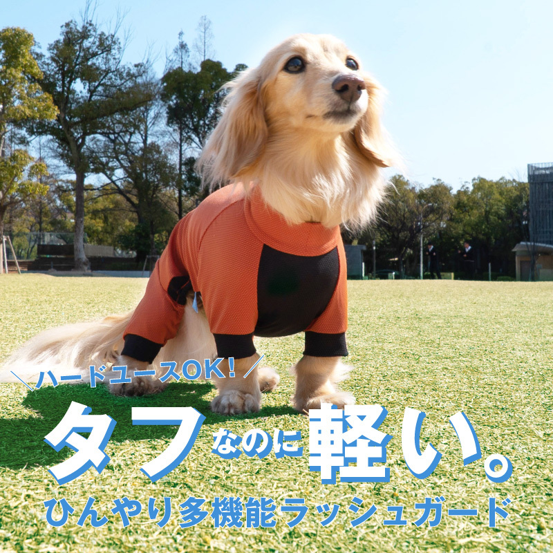 ドッグプレイ(R)接触冷感ストレッチハニカムラッシュガード(ダックス・小型犬用)