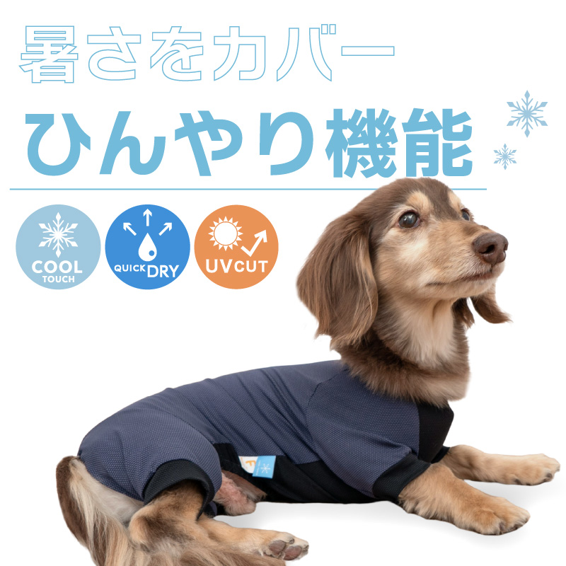 ドッグプレイ(R)接触冷感ストレッチハニカムラッシュガード(ダックス・小型犬用)