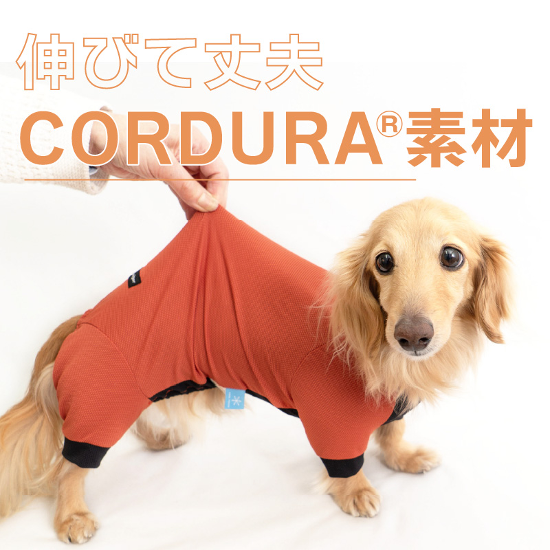 ドッグプレイ(R)接触冷感ストレッチハニカムラッシュガード(ダックス・小型犬用)