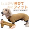 ドッグプレイ(R)接触冷感ストレッチハニカムラッシュガード(ダックス・小型犬用)
