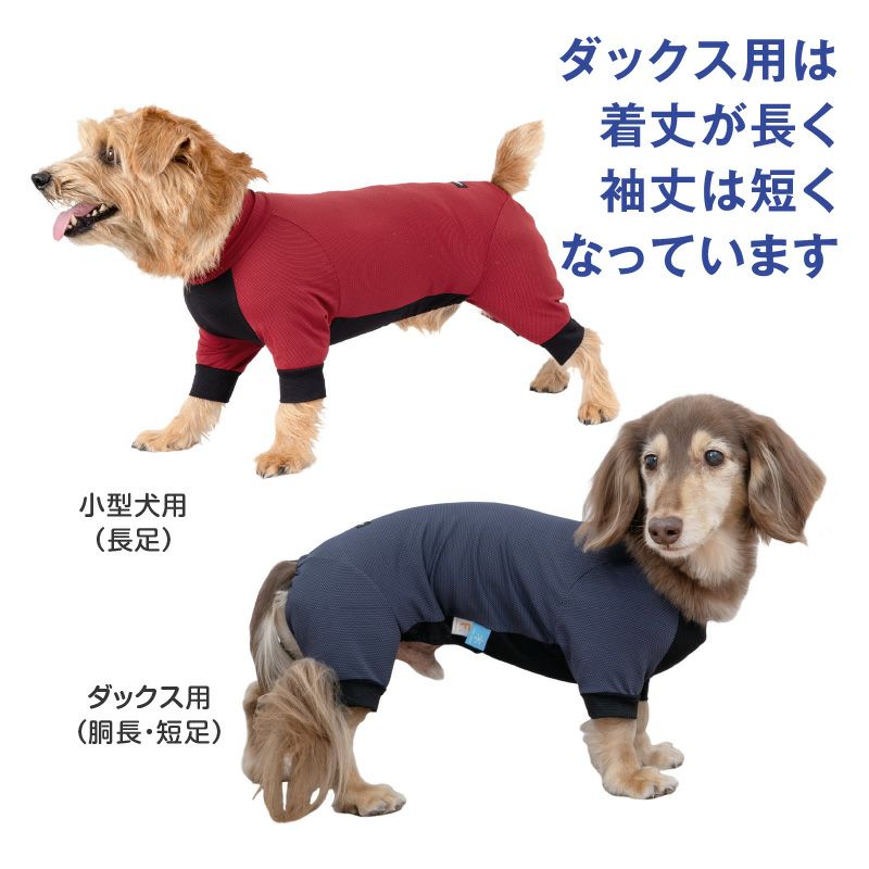 ドッグプレイ(R)接触冷感ストレッチハニカムラッシュガード(ダックス・小型犬用)