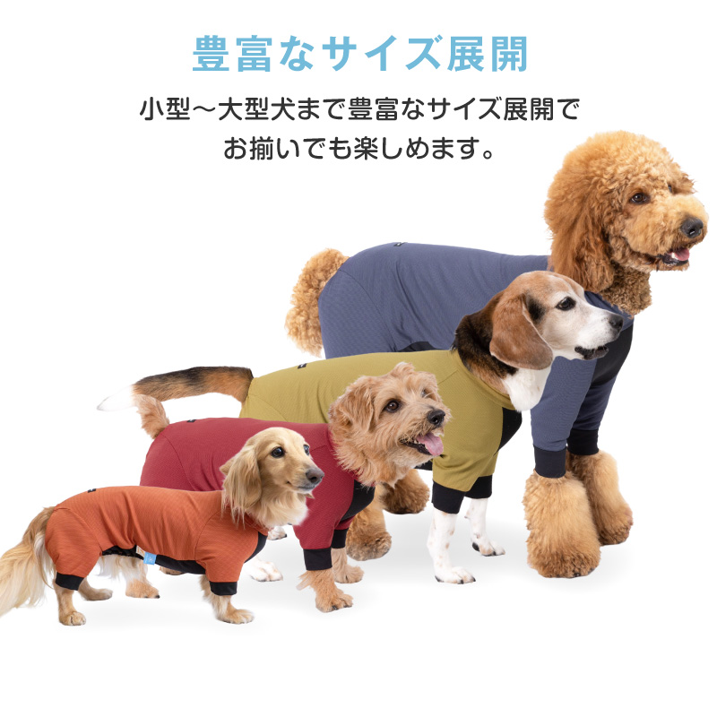 ドッグプレイ(R)接触冷感ストレッチハニカムラッシュガード(ダックス・小型犬用)