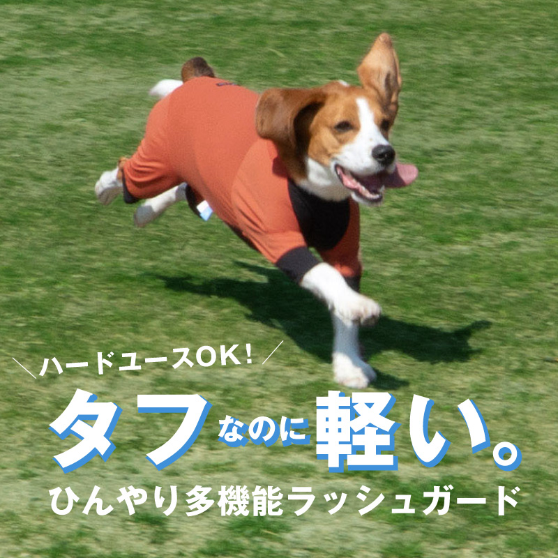 ドッグプレイ(R)接触冷感ストレッチハニカムラッシュガード(中型犬用)