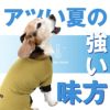 ドッグプレイ(R)接触冷感ストレッチハニカムラッシュガード(中型犬用)