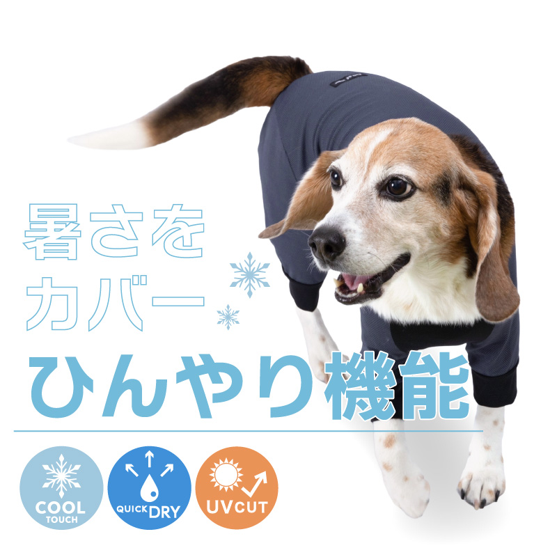 ドッグプレイ(R)接触冷感ストレッチハニカムラッシュガード(中型犬用)