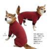 ドッグプレイ(R)接触冷感ストレッチハニカムラッシュガード(中型犬用)