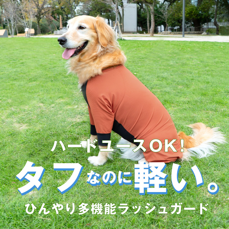 ドッグプレイ(R)接触冷感ストレッチハニカムラッシュガード(大型犬用)