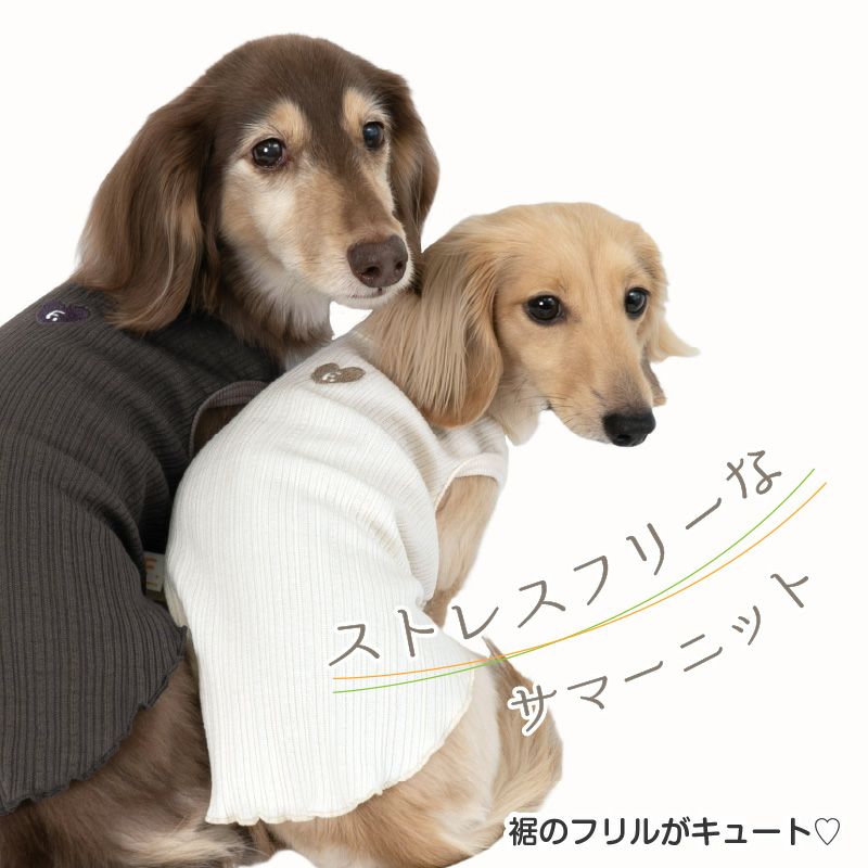 ランダムニット裾フリルタンク(ダックス・小型犬用)