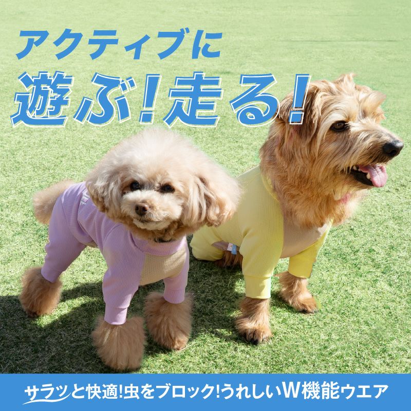 ドッグプレイ(R)吸水速乾防蚊ラッシュガード(ダックス・小型犬用)