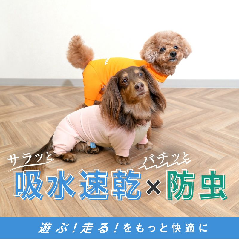 ドッグプレイ(R)吸水速乾防蚊ラッシュガード(ダックス・小型犬用)