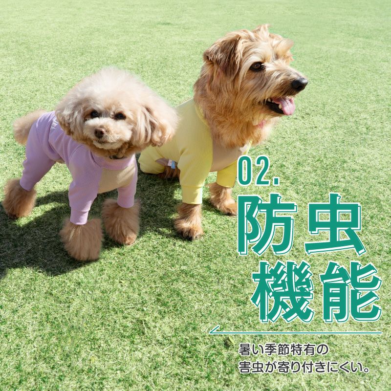 ドッグプレイ(R)吸水速乾防蚊ラッシュガード(ダックス・小型犬用)