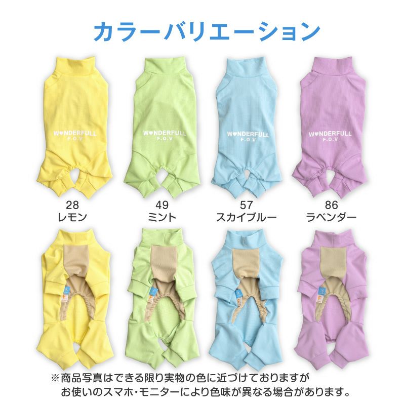 ドッグプレイ(R)吸水速乾防蚊ラッシュガード(ダックス・小型犬用)