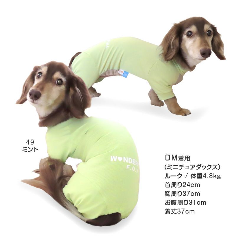 ドッグプレイ(R)吸水速乾防蚊ラッシュガード(ダックス・小型犬用)