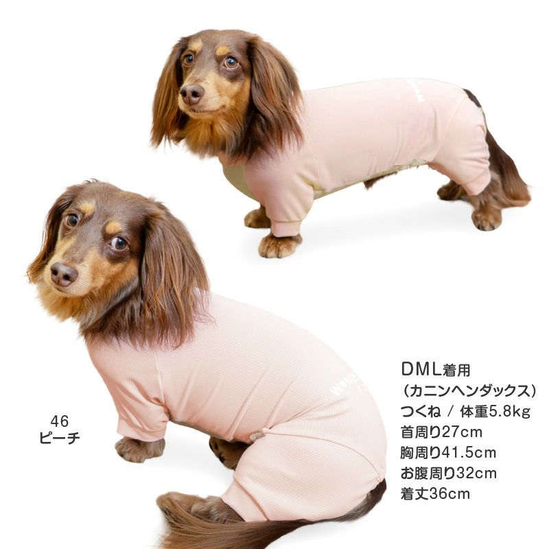 ドッグプレイ(R)吸水速乾防蚊ラッシュガード(ダックス・小型犬用)