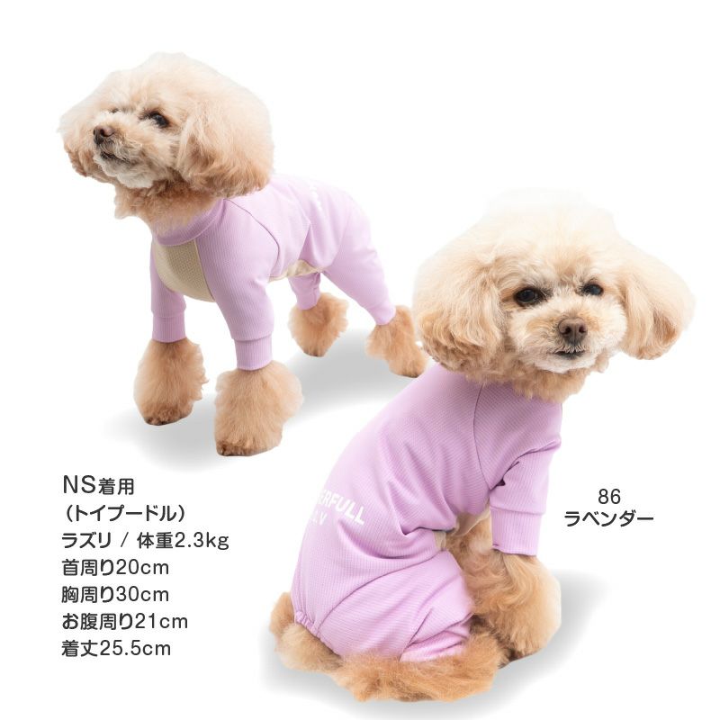 ドッグプレイ(R)吸水速乾防蚊ラッシュガード(ダックス・小型犬用)