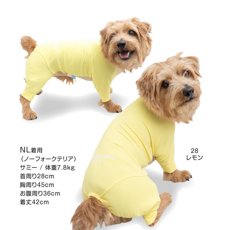 ドッグプレイ(R)吸水速乾防蚊ラッシュガード(ダックス・小型犬用)