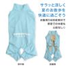 ドッグプレイ(R)吸水速乾防蚊ラッシュガード(大型犬用)